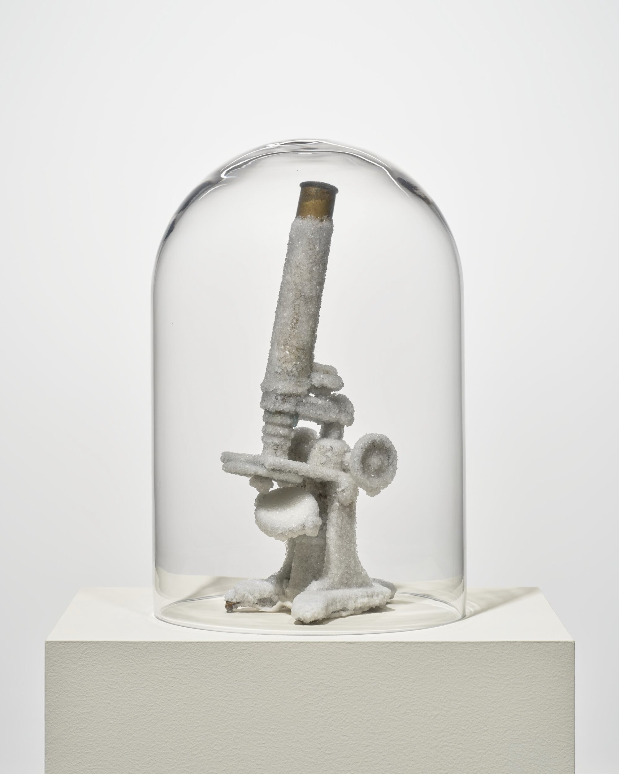 Max Hooper Schneider: Carnival of Gestation | UCCA Center for