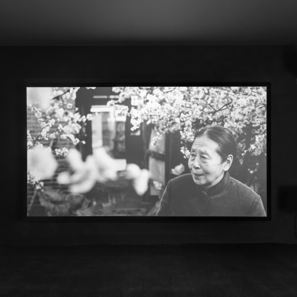 “杨福东:香河”展览系列特邀导览:“文人电影”的变奏与拓展 | UCCA尤伦斯当代艺术中心